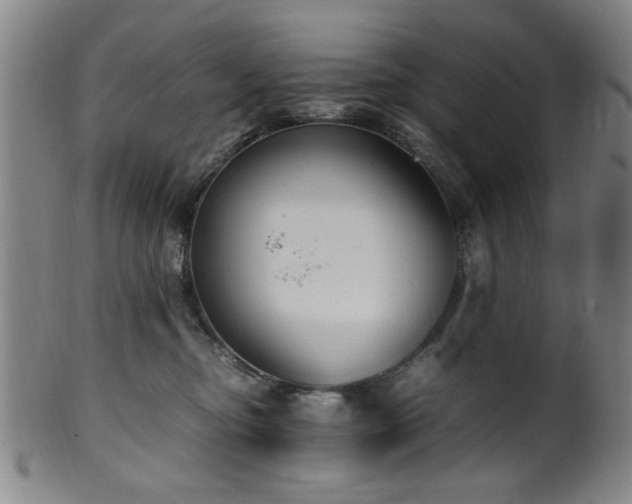 X0000100350374200806061120