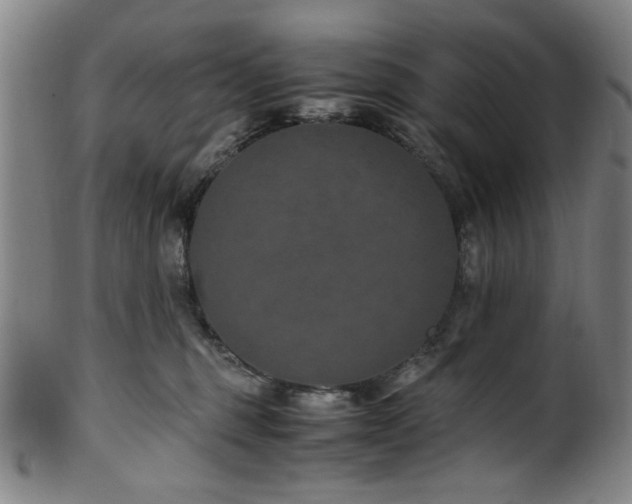 X0000100350375200806061120