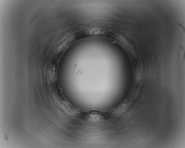 X0000100350376200806061120