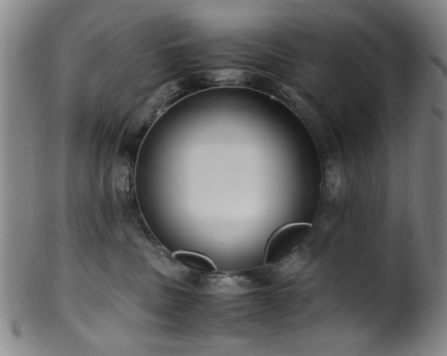 X0000100350379200806061120