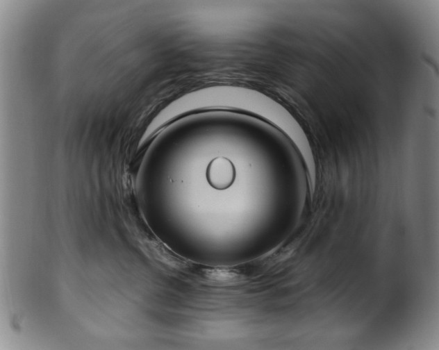 X0000100350380200806061120