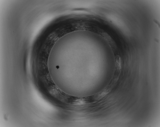 X0000100350381200806061120