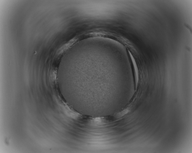 X0000100350382200806061120