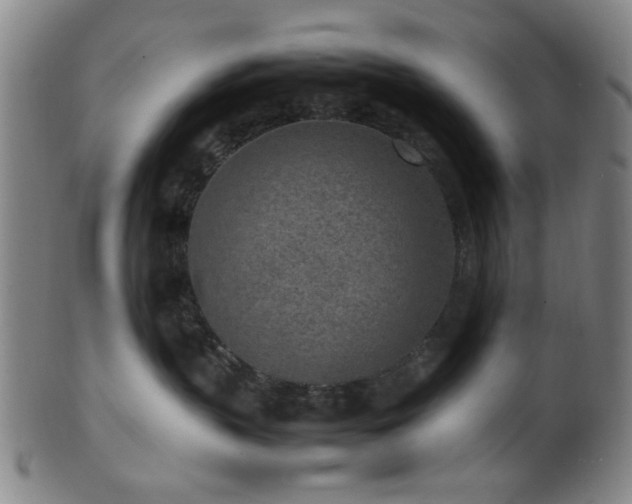 X0000100350383200806061120
