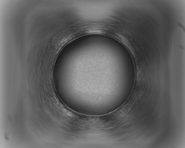 X0000100350385200806061119