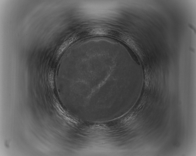 X0000100350386200806061119