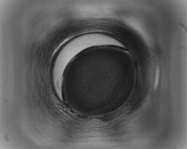 X0000100350387200806061119