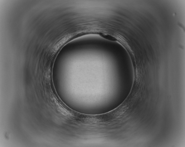 X0000100350389200806061119