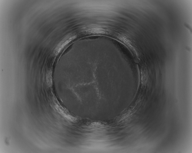 X0000100350390200806061119