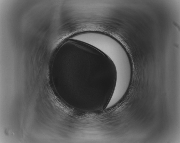 X0000100350391200806061119