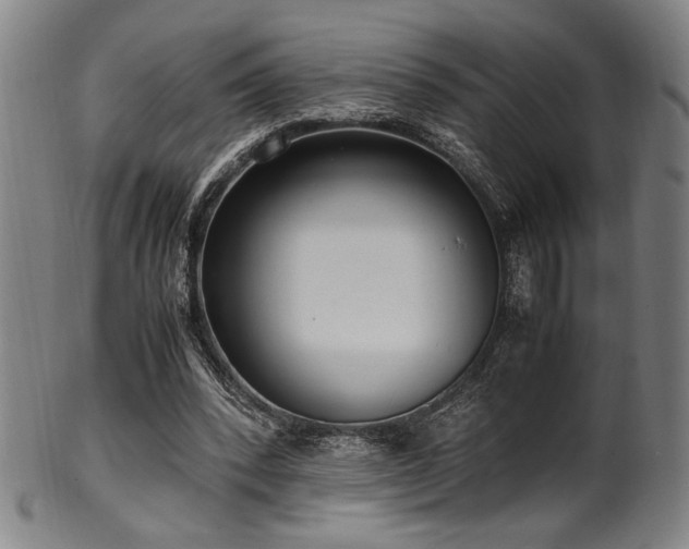 X0000100350392200806061119