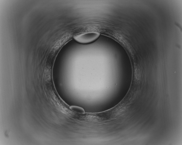 X0000100350393200806061119
