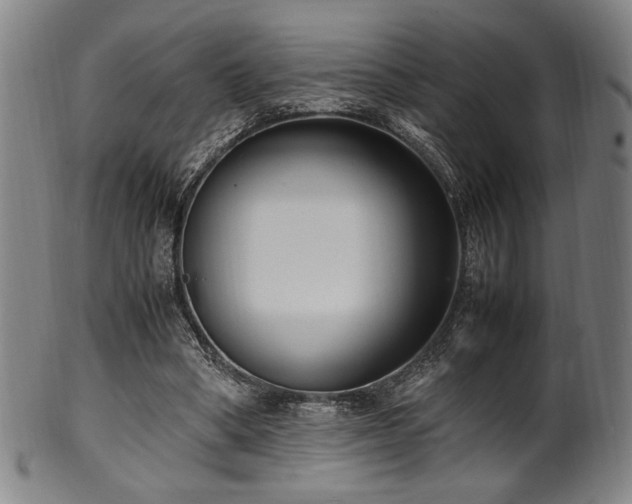 X0000100350394200806061119