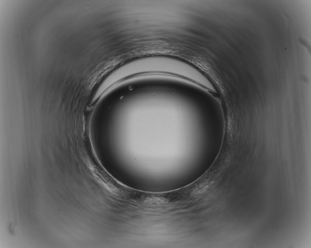 X0000100350397200806061119