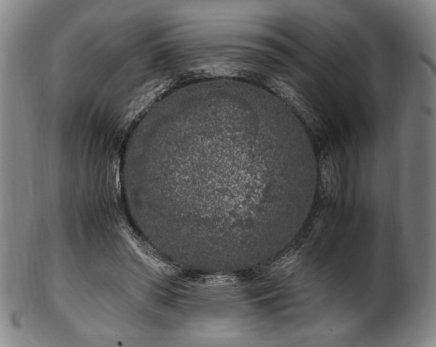 X0000100350398200806061119