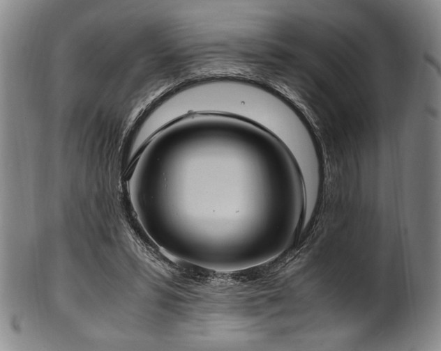 X0000100350399200806061119