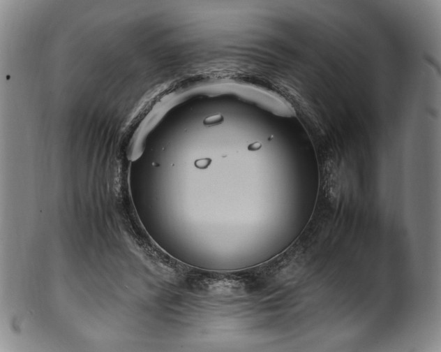 X0000100350400200806061119