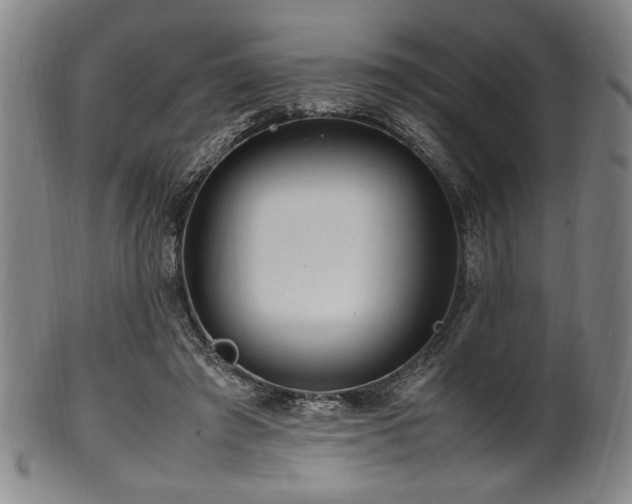 X0000100350401200806061119
