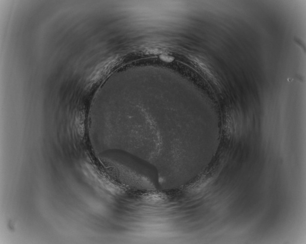 X0000100350402200806061119