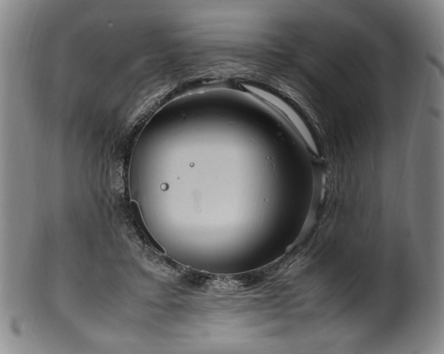 X0000100350403200806061119