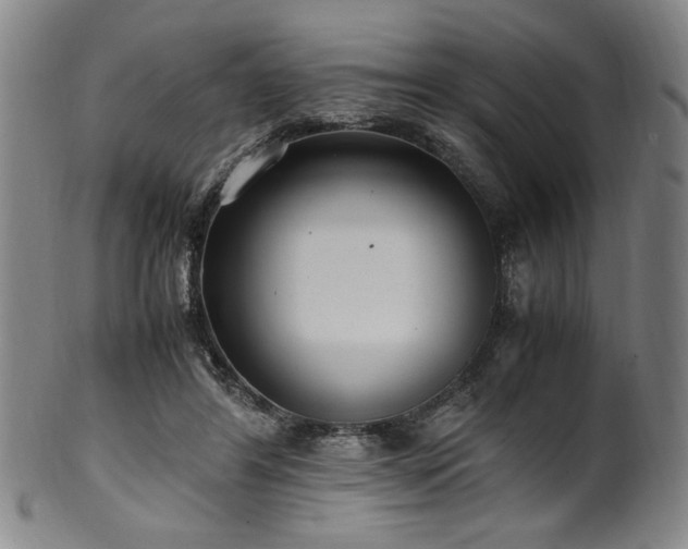 X0000100350404200806061119