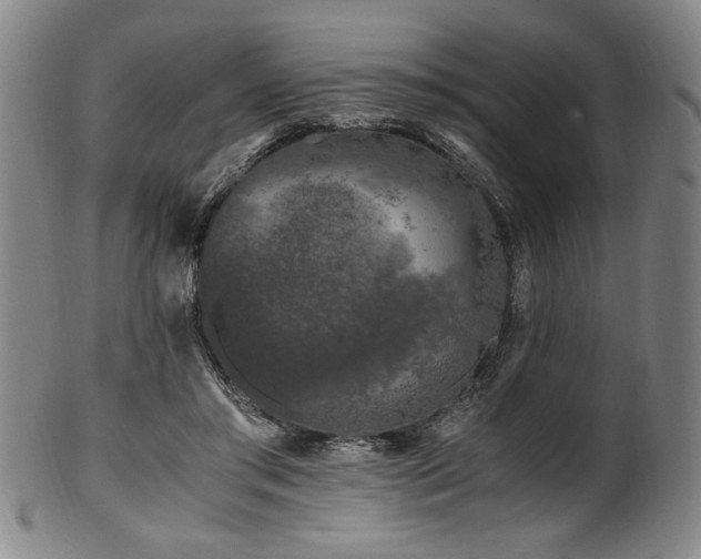 X0000100350405200806061119