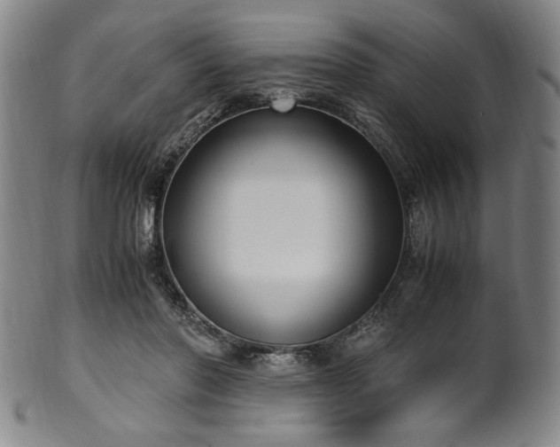 X0000100350406200806061119