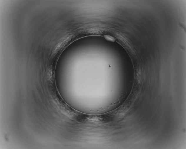 X0000100350407200806061119