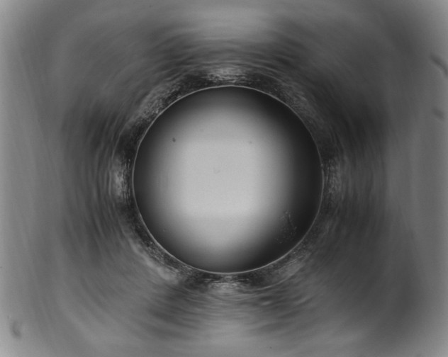 X0000100350408200806061119