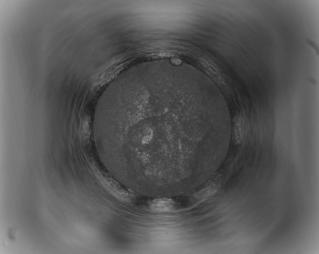 X0000100350410200806061119