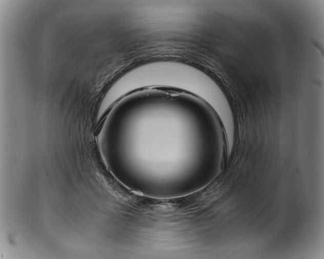 X0000100350411200806061119