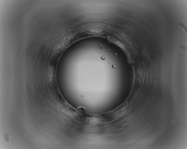 X0000100350412200806061119