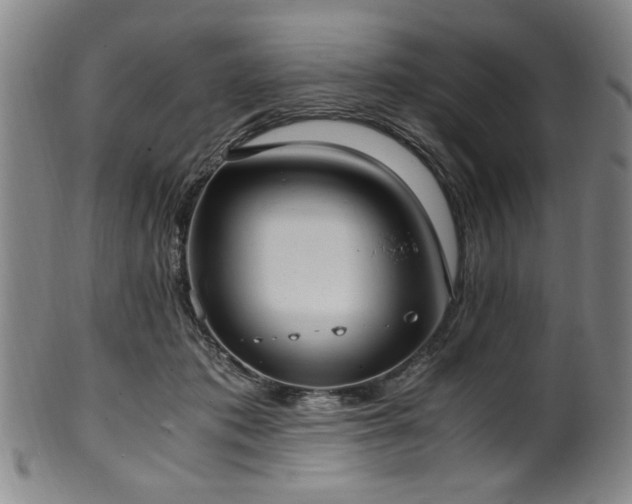 X0000100350413200806061119