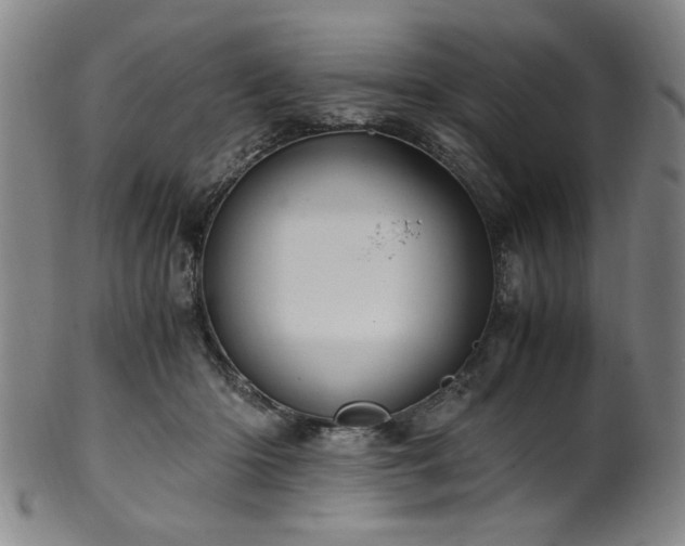 X0000100350414200806061119