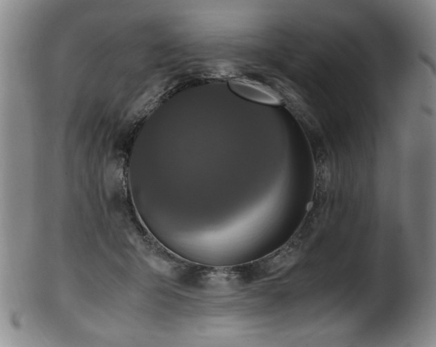 X0000100350415200806061119