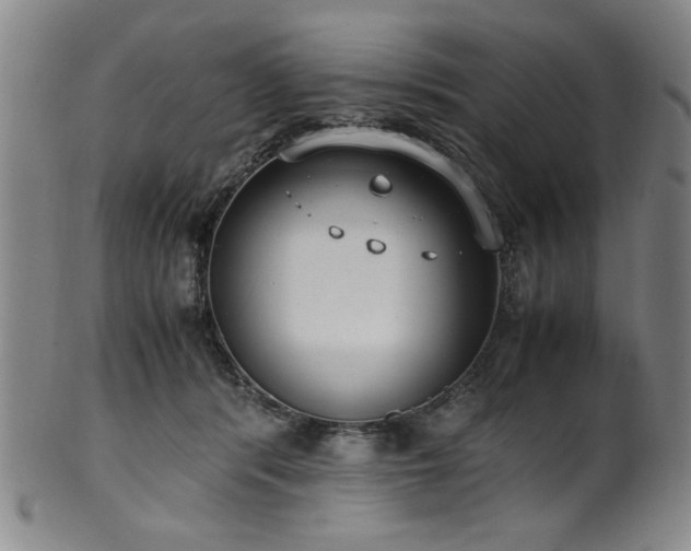 X0000100350416200806061119