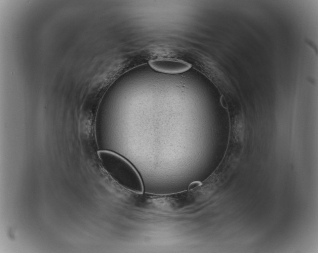 X0000100350417200806061119