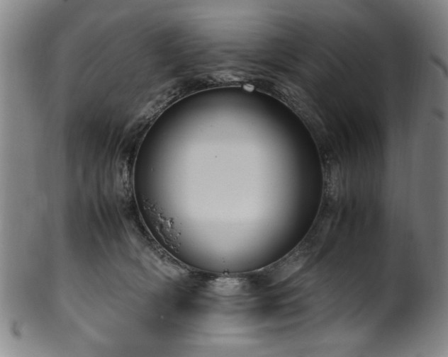 X0000100350418200806061119