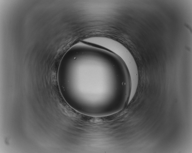 X0000100350419200806061119