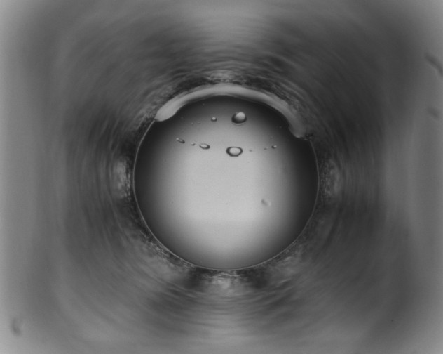 X0000100350420200806061119
