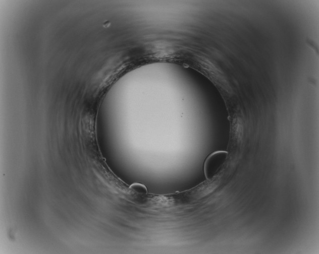 X0000100350421200806061119