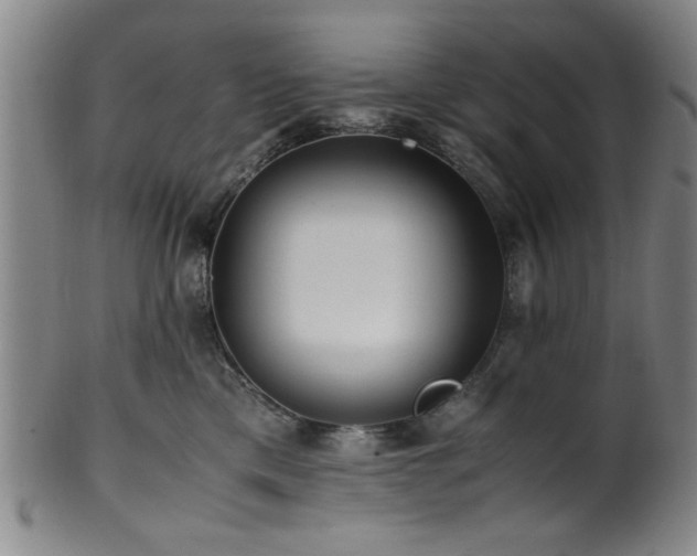 X0000100350425200806061118