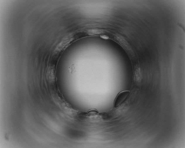 X0000100350426200806061118