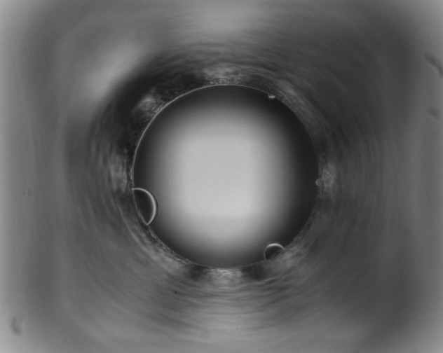X0000100350429200806061118