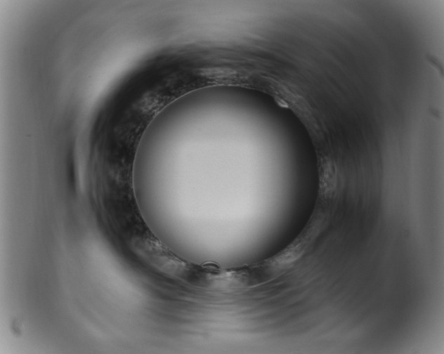 X0000100350430200806061118