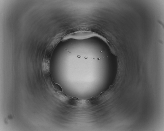 X0000100350432200806061118