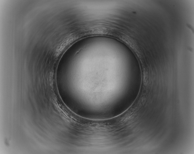 X0000100350434200806061118