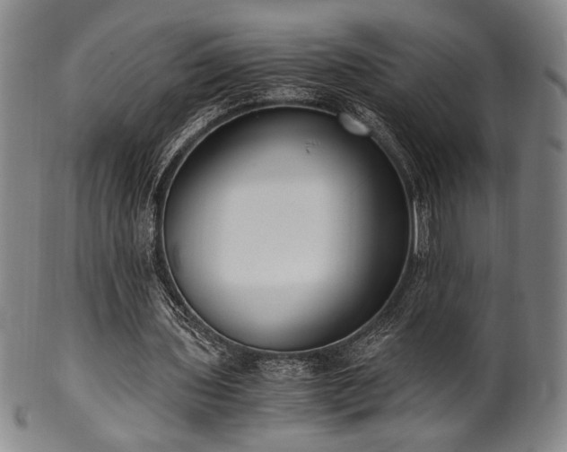 X0000100350435200806061118