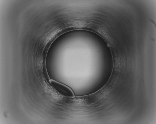 X0000100350440200806061118