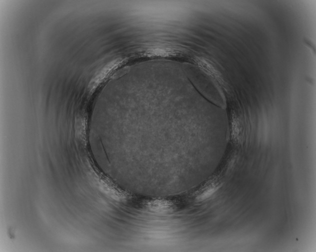 X0000100350444200806061118